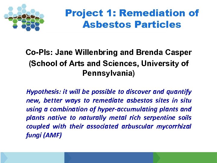 Project 1: Remediation of Asbestos Particles Co-PIs: Jane Willenbring and Brenda Casper (School of