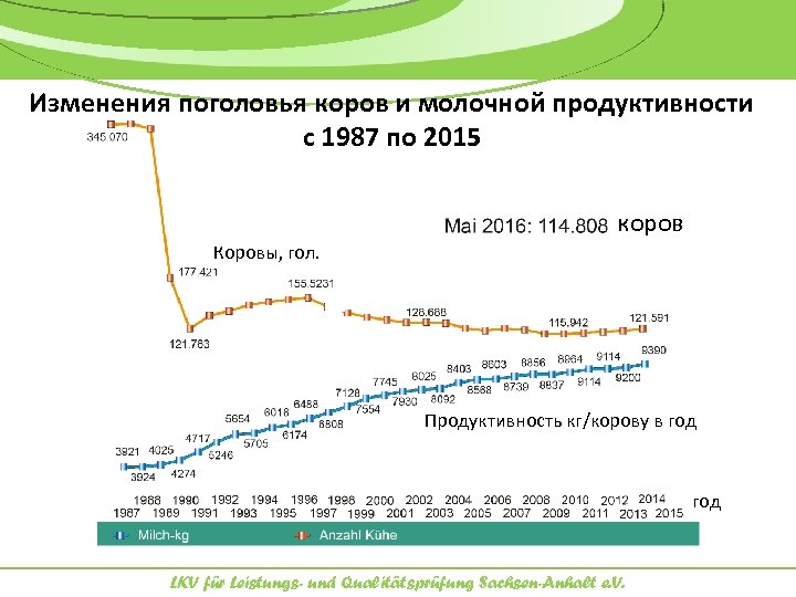 Изменения поголовья коров и молочной продуктивности с 1987 по 2015 коров Коровы, гол. 1