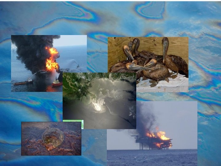 NMFS Enterprise Data Management 