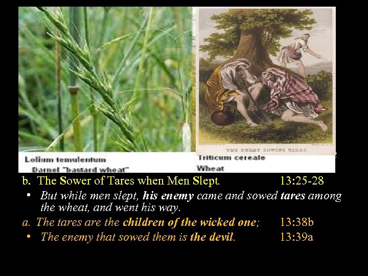 B. The Parable of the Tares and the Wheat. Mt. 13: 36 -43 The