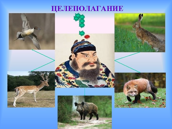 ЦЕЛЕПОЛАГАНИЕ 