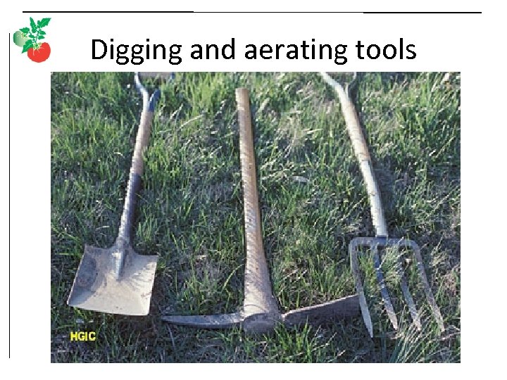 Digging and aerating tools 