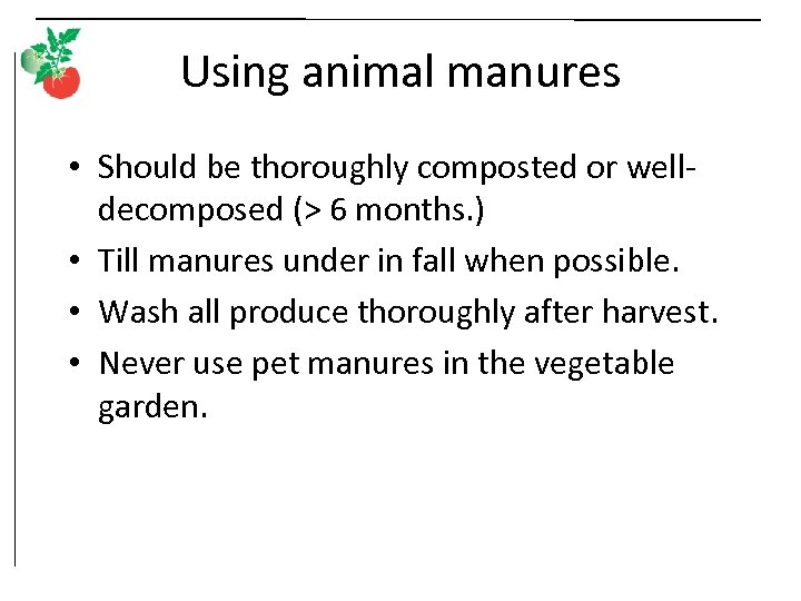 Using animal manures • Should be thoroughly composted or welldecomposed (> 6 months. )