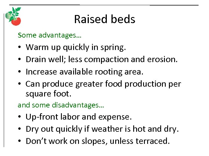 Raised beds some advantages… • • Warm up quickly in spring. Drain well; less