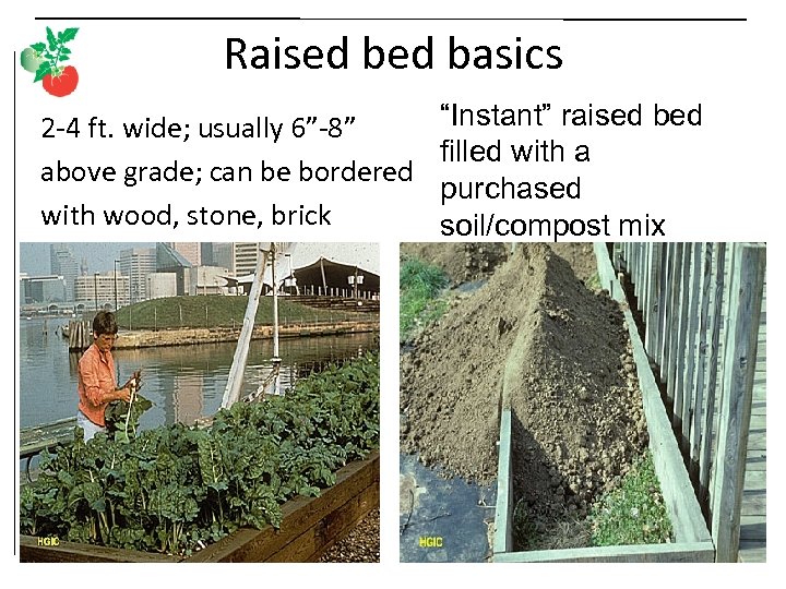 Raised basics 2 -4 ft. wide; usually 6”-8” above grade; can be bordered with