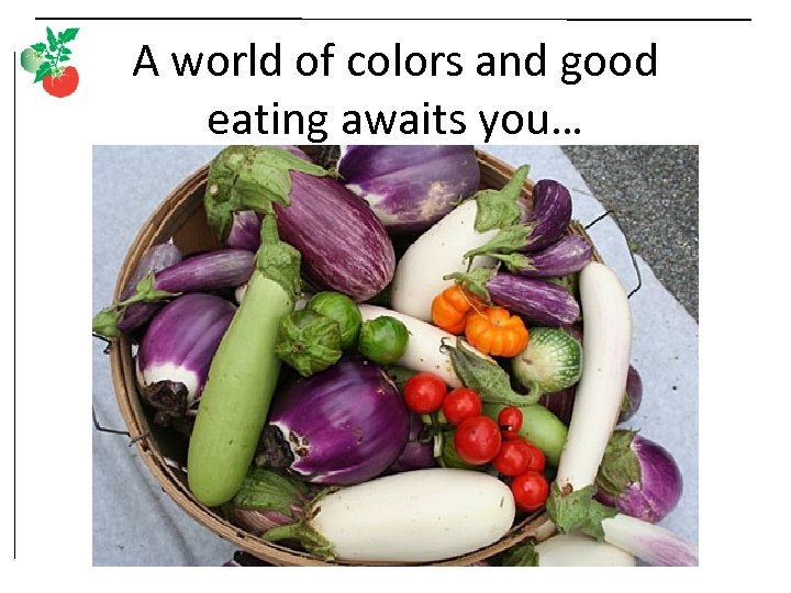 A world of colors and good eating awaits you… 