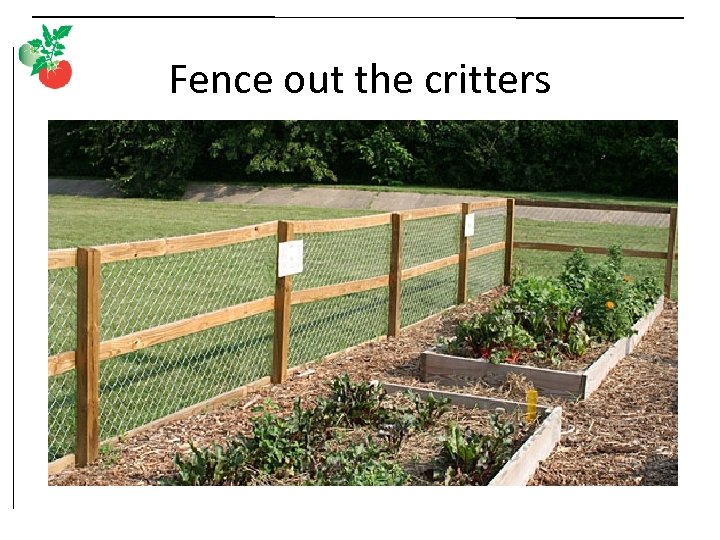 Fence out the critters 