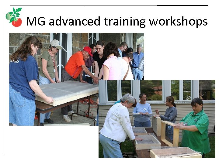 MG advanced training workshops 