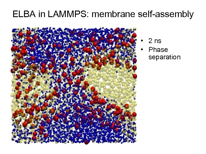 ELBA in LAMMPS: membrane self-assembly • 2 ns • Phase separation 