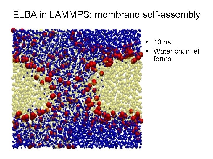 ELBA in LAMMPS: membrane self-assembly • 10 ns • Water channel forms 