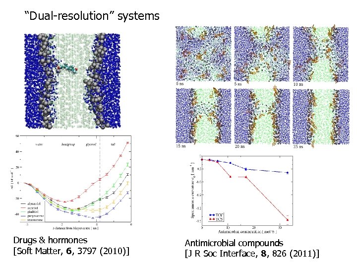 “Dual-resolution” systems Drugs & hormones [Soft Matter, 6, 3797 (2010)] Antimicrobial compounds [J R