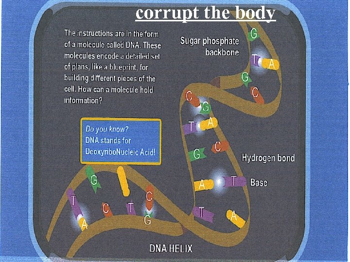 corrupt the body 