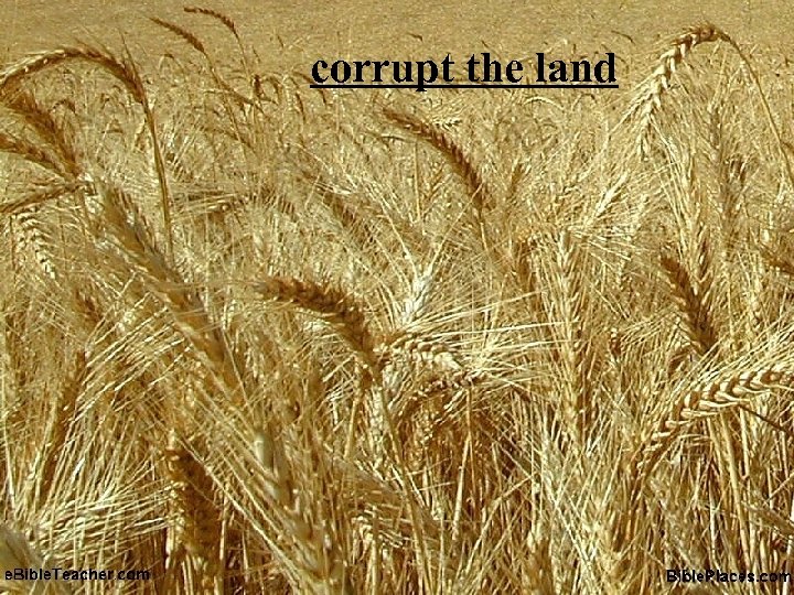 corrupt the land 