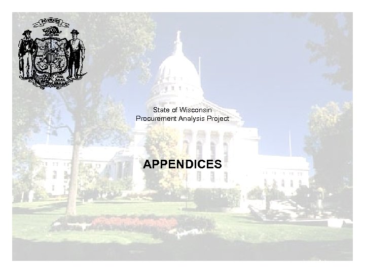State of Wisconsin Procurement Analysis Project APPENDICES 