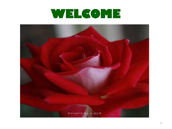 WELCOME 1 