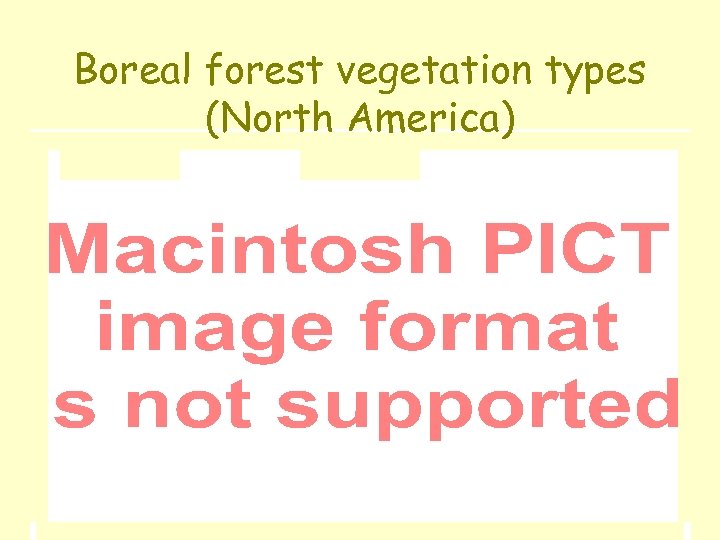 Boreal forest vegetation types (North America) 