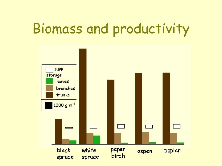 Biomass and productivity black spruce white spruce paper birch aspen poplar 