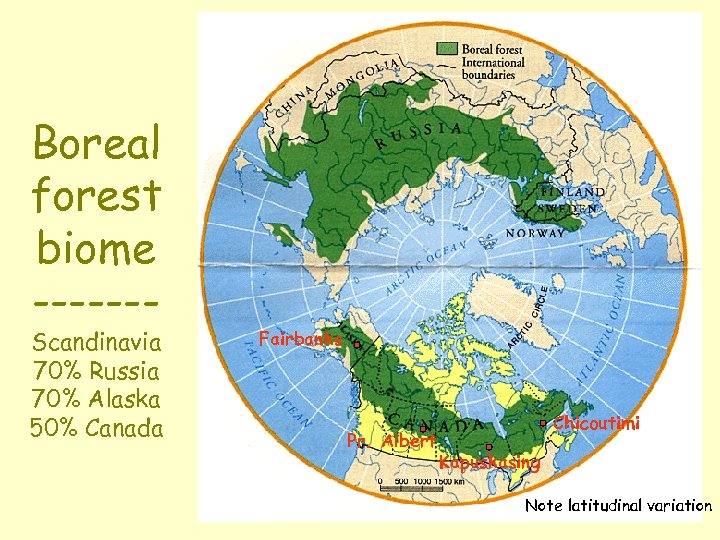 Boreal forest biome ------- Scandinavia 70% Russia 70% Alaska 50% Canada Fairbanks Pr. Albert