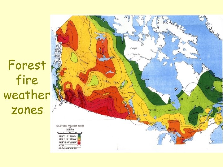 Forest fire weather zones 