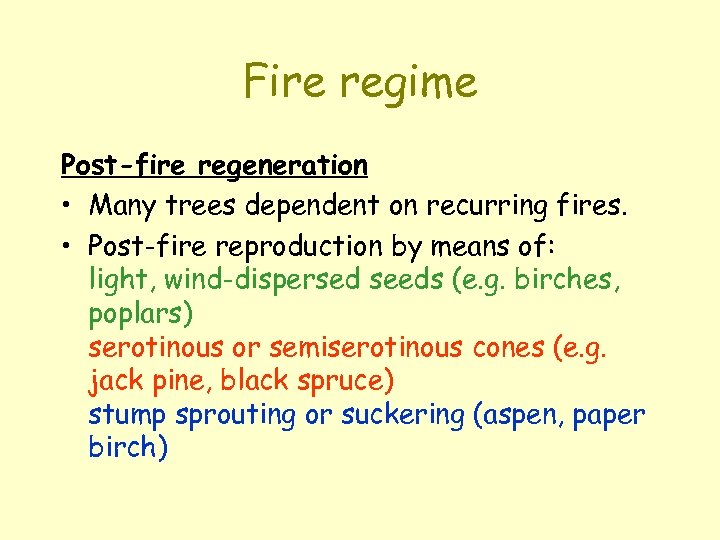 Fire regime Post-fire regeneration • Many trees dependent on recurring fires. • Post-fire reproduction