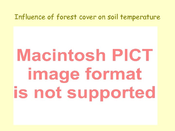 Influence of forest cover on soil temperature 