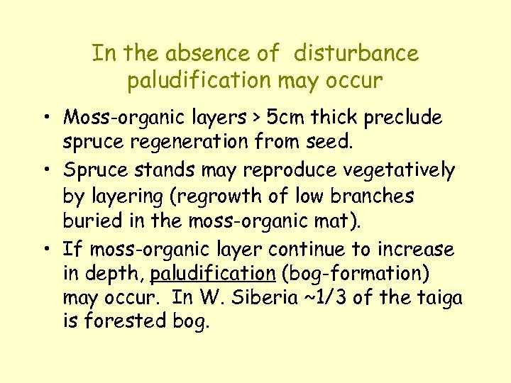 In the absence of disturbance paludification may occur • Moss-organic layers > 5 cm