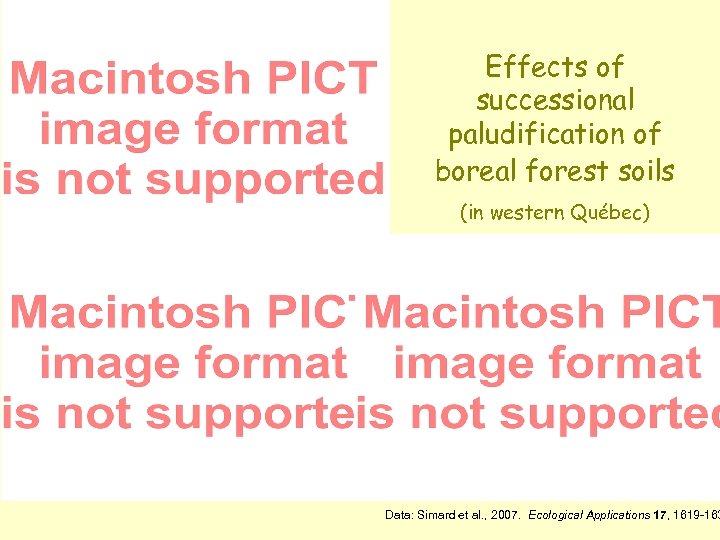 Effects of successional paludification of boreal forest soils (in western Québec) Data: Simard et