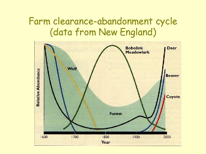 Farm clearance-abandonment cycle (data from New England) 