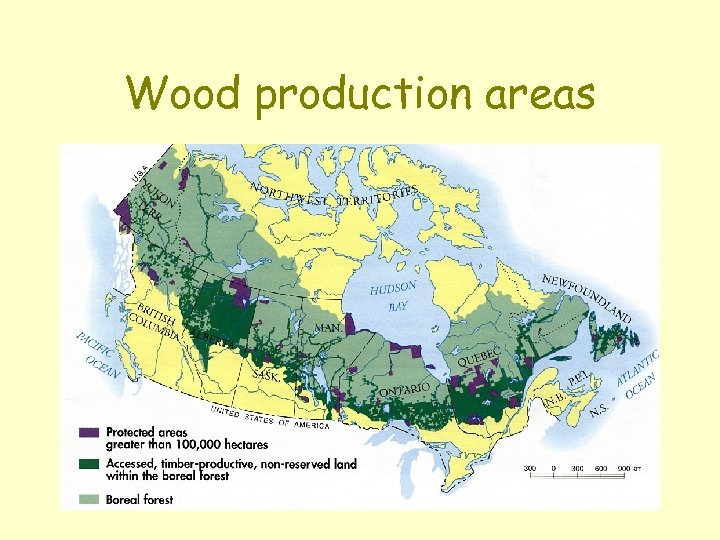 Wood production areas 