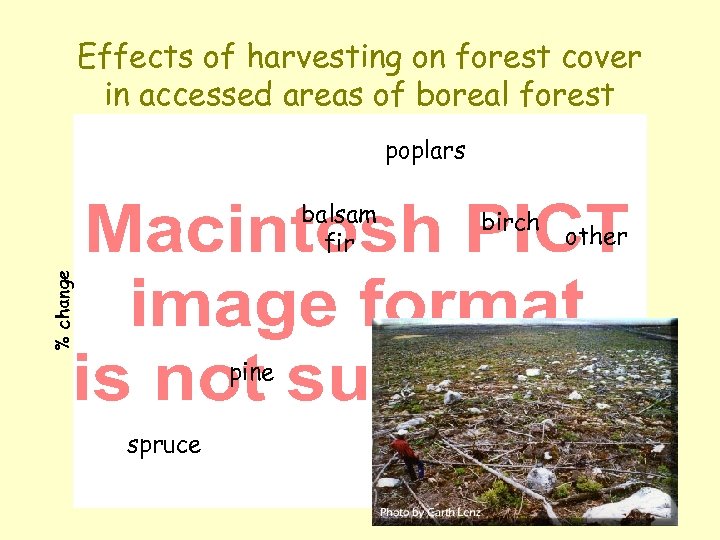 Effects of harvesting on forest cover in accessed areas of boreal forest poplars %