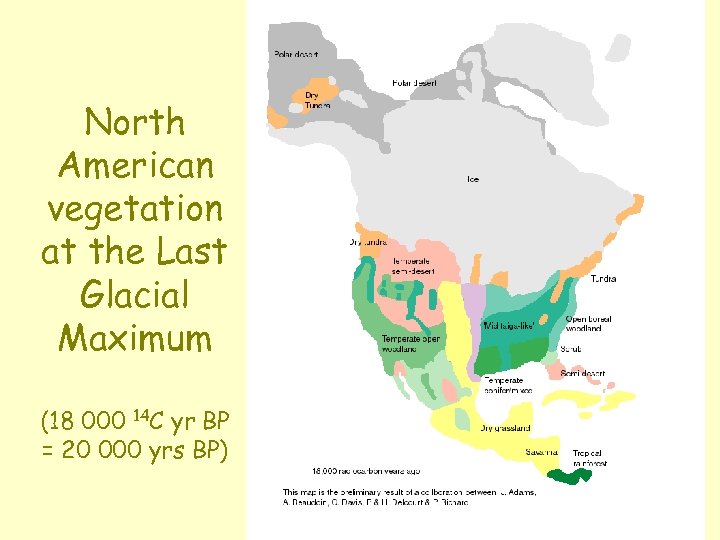 North American vegetation at the Last Glacial Maximum (18 000 14 C yr BP