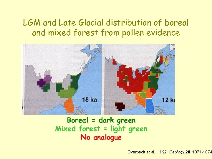 LGM and Late Glacial distribution of boreal and mixed forest from pollen evidence Boreal