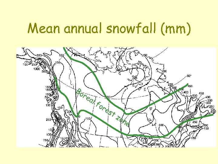 Mean annual snowfall (mm) Bo re al fo re st zo n e 