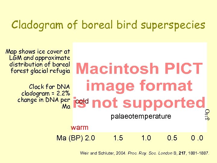 Cladogram of boreal bird superspecies Map shows ice cover at LGM and approximate distribution