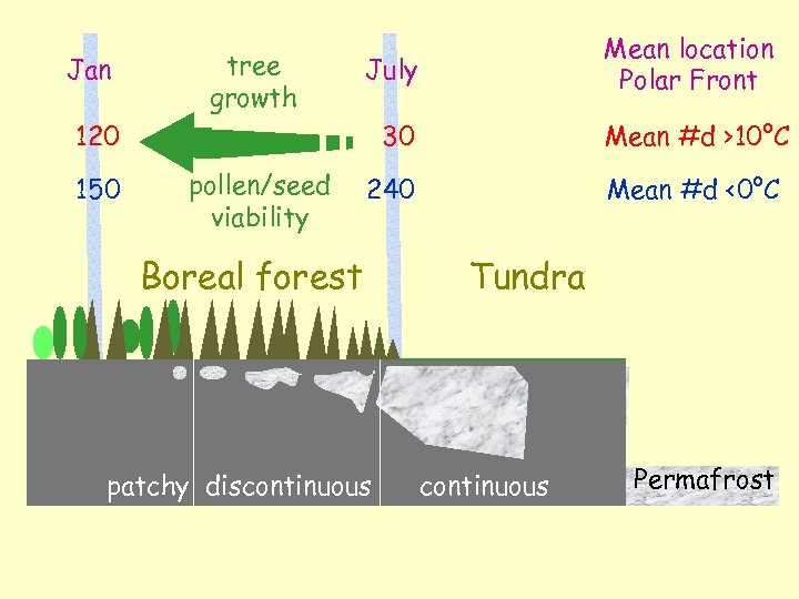 Jan tree growth July 120 150 Mean location Polar Front 30 pollen/seed viability Mean