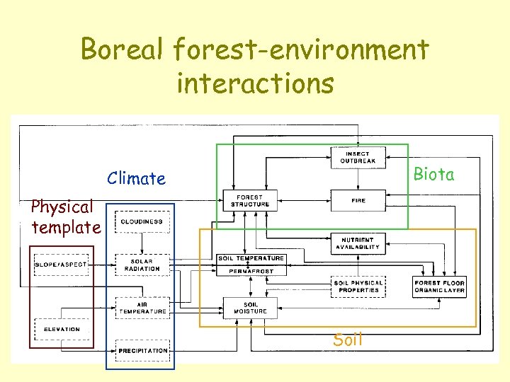 Boreal forest-environment interactions Biota Climate Physical template Soil 