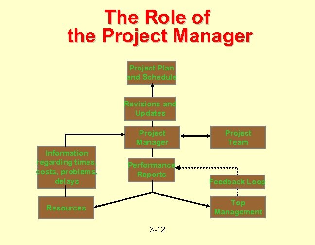 The Role of the Project Manager Project Plan and Schedule Revisions and Updates Project