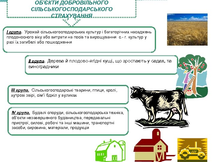ОБ’ЄКТИ ДОБРОВІЛЬНОГО СІЛЬСЬКОГОСПОДАРСЬКОГО СТРАХУВАННЯ І група. Урожай сільськогосподарських культур і багаторічних насаджень плодоносного віку