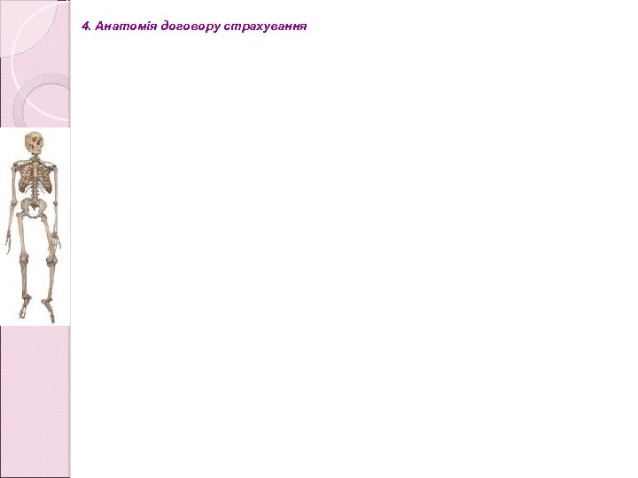 4. Анатомія договору страхування 