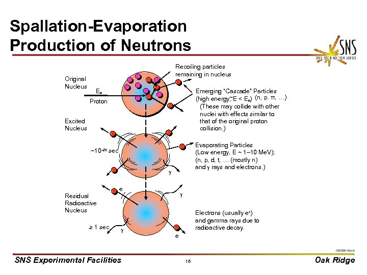 Spallation-Evaporation Production of Neutrons Original Nucleus Recoiling particles remaining in nucleus ‘ ‘ ‘