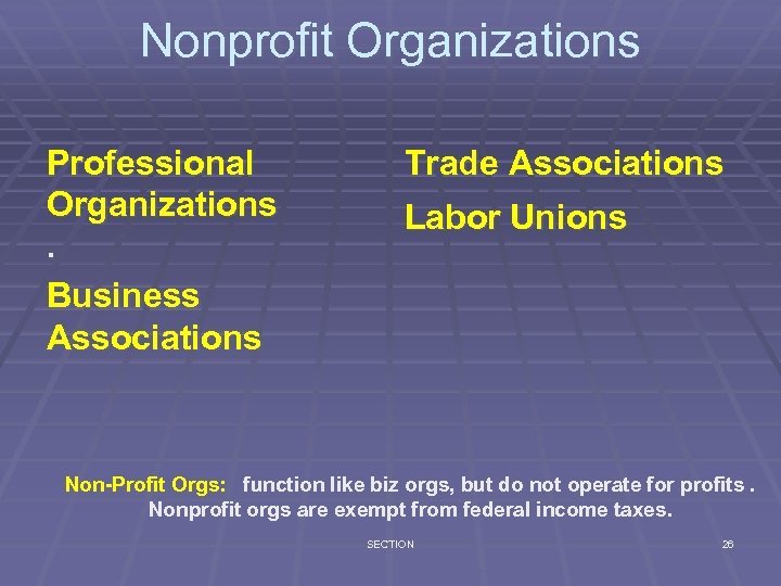 Nonprofit Organizations Professional Organizations. Business Associations Trade Associations Labor Unions Non-Profit Orgs: function like