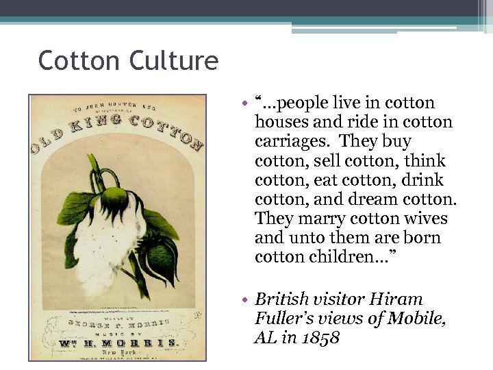 Cotton Culture • “…people live in cotton houses and ride in cotton carriages. They