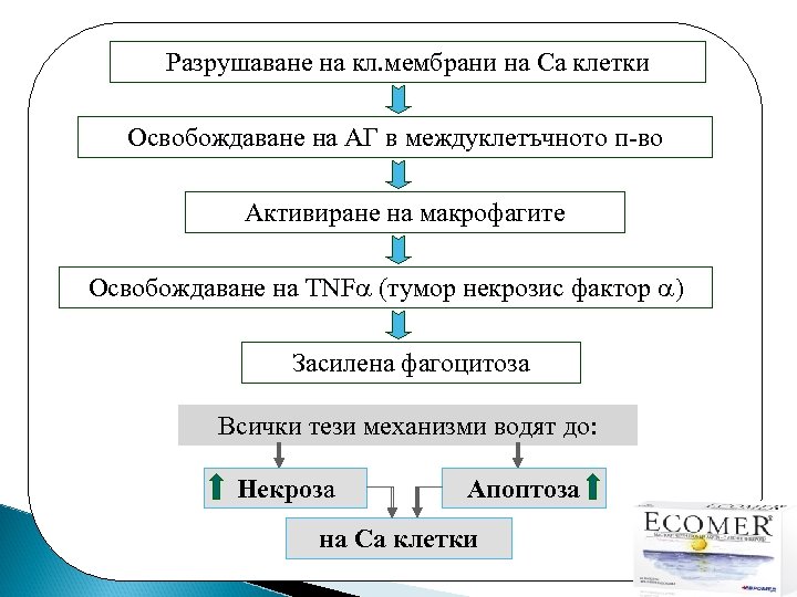 Разрушаване на кл. мембрани на Ca клетки Освобождаване на АГ в междуклетъчното п-во Активиране