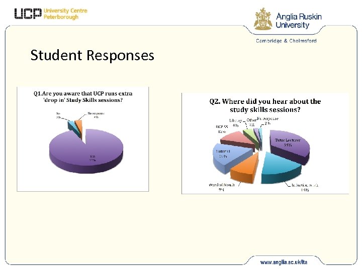 Student Responses 