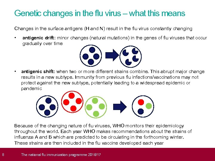  8 Genetic changes in the flu virus – what this means Changes in