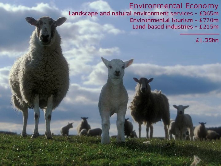 Environmental Economy Landscape and natural environment services - £ 365 m Environmental tourism -