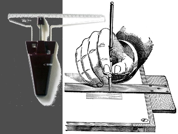 F. Gay, Università IUAV di Venezia, Corso di Laurea in Scienze dell’Architettura - Modulo