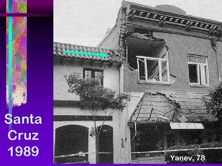 Santa Cruz 1989 Yanev, 78 