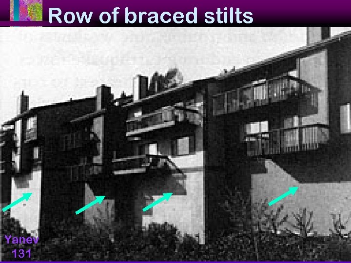 Row of braced stilts Yanev 131 