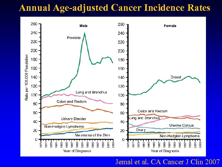 Annual Age-adjusted Cancer Incidence Rates Jemal et al. CA Cancer J Clin 2007 